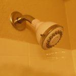 Shower Head