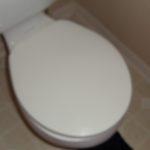 Covered Toilet Seat