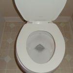 Toilet seat top view