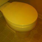 Toilet seat