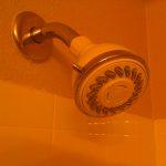 Shower head